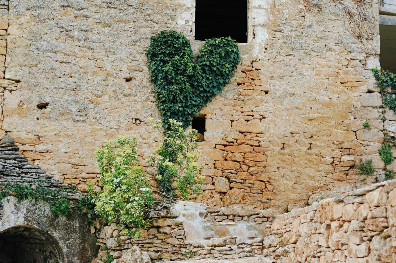 Maison Cistus - Maison D'Hotes De Charme - Suites Et Gite Avec Terrasses Privees - Proche De Sarlat, Au Coeur De La Nature Dış mekan fotoğraf